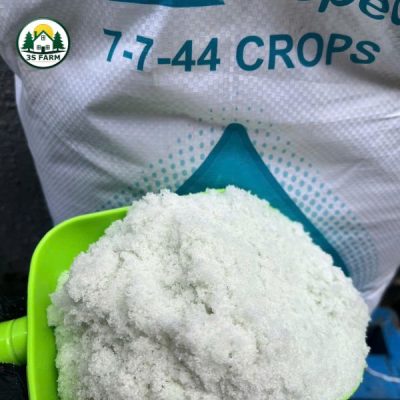 Phân Bón Lá NPK 7-7-44 – Nuôi Trái Lớn, Tăng Ngọt – Bao 25kg