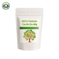 Combi Vi Lượng EDTA Chelate – Canxi Bo Magie Kẽm – Tăng đậu trái – Nuôi Trái To – Hạn Chế Sượng