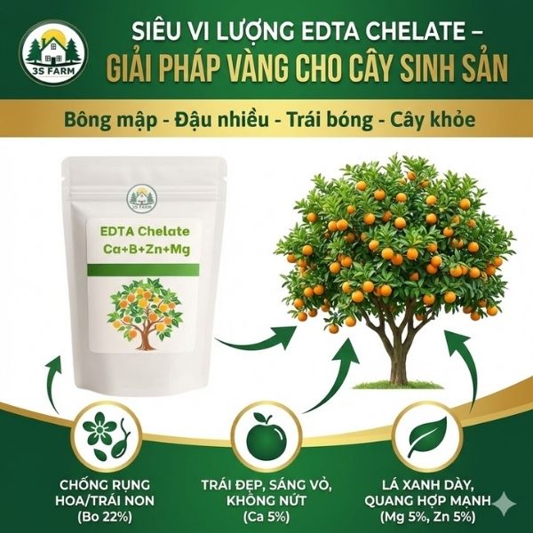 Canxi Bo Magie Kẽm