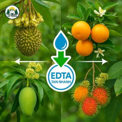 Combi Vi Lượng EDTA Chelate – Canxi Bo Magie Kẽm – Tăng đậu trái – Nuôi Trái To – Hạn Chế Sượng
