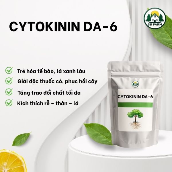Cytokinin DA-6 – Trẻ hóa tế bào, giải độc thuốc, giảm stress
