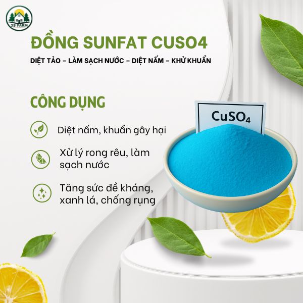 Đồng sunfat (CuSO₄) - Phèn Xanh - Diệt nấm, Khử trùng, diệt tảo