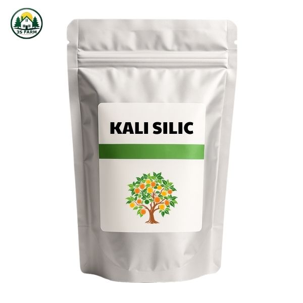 Phân Bón Lá Kali Silic – Mập Thân, Cứng Cây, Lên Cơm, Vô Gạo