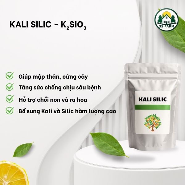 Phân Bón Lá Kali Silic – Mập Thân, Cứng Cây, Lên Cơm, Vô Gạo
