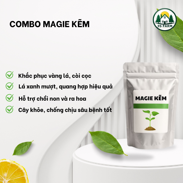 Combo Magie kẽm - Biến Vàng Thành Xanh