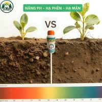 Chế Phẩm Sinh Học