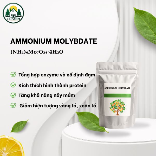 Vi lượng Ammonium Molybdate (Mo)