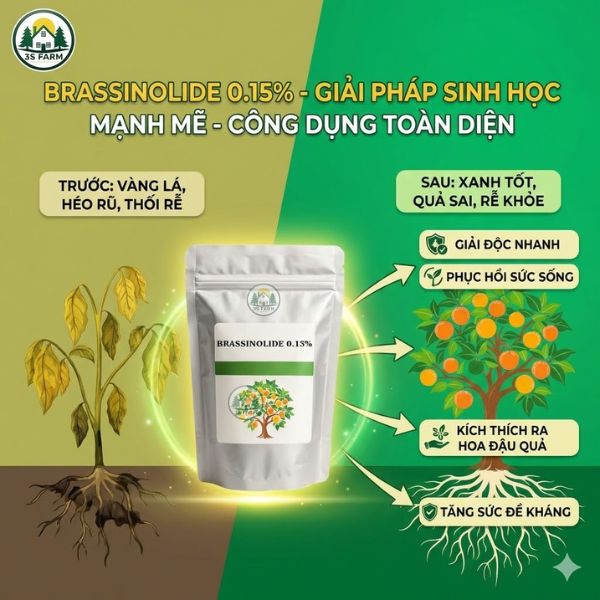 Brassinolide 0.15% - giải độc giảm stress cho cây