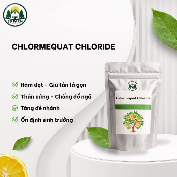 Chlormequat Chloride 98% - Hãm Đọt, Thân Cứng, Chống Đổ Ngã