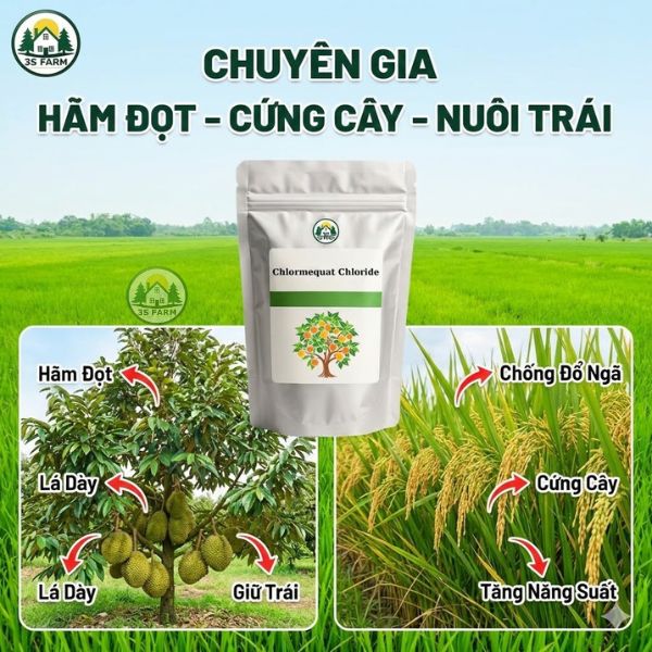 Chlormequat Chloride