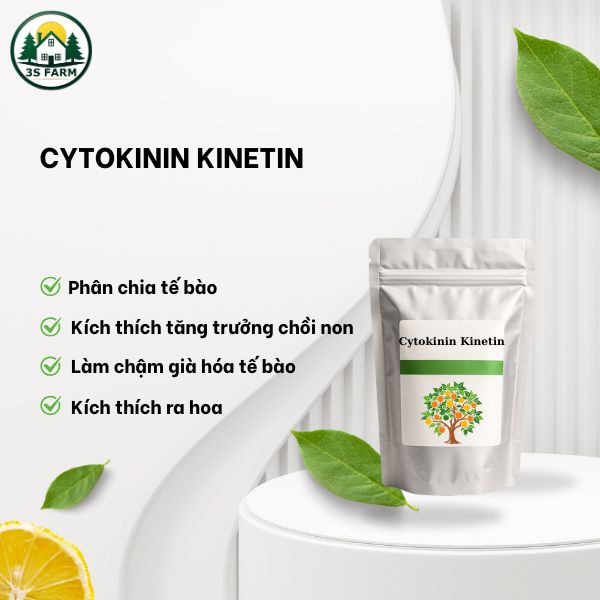 Cytokinin Kinetin