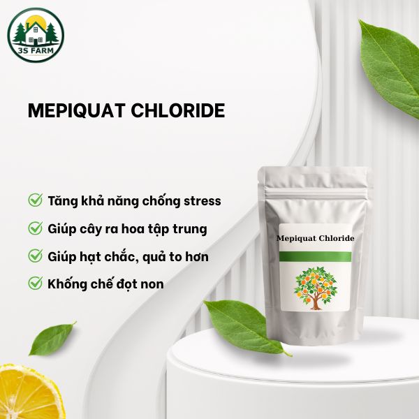 Mepiquat Chloride