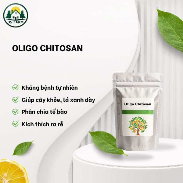 Oligo Chitosan