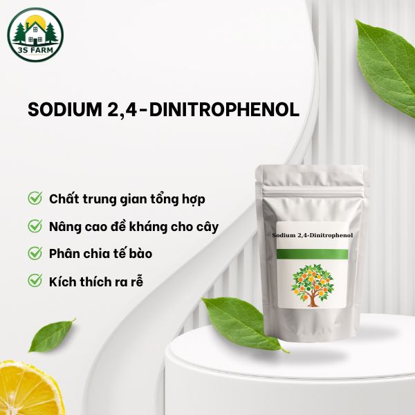 Sodium 2,4-Dinitrophenol