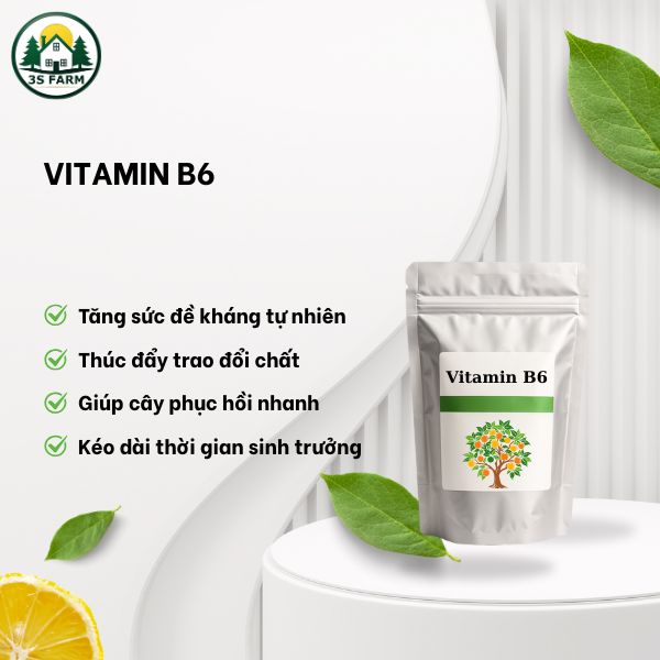 Vitamin B6 cho cây trồng