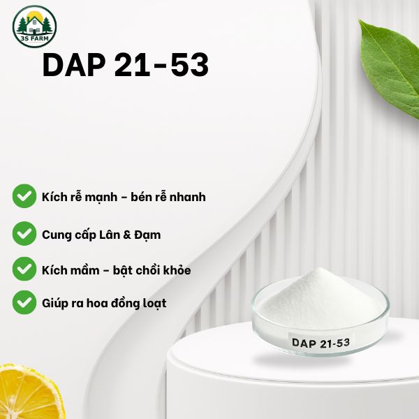 Phân Bón Lá DAP 21-53 – Giúp Cây Phát Triển Rễ Khỏe, Lá Xanh Mượt