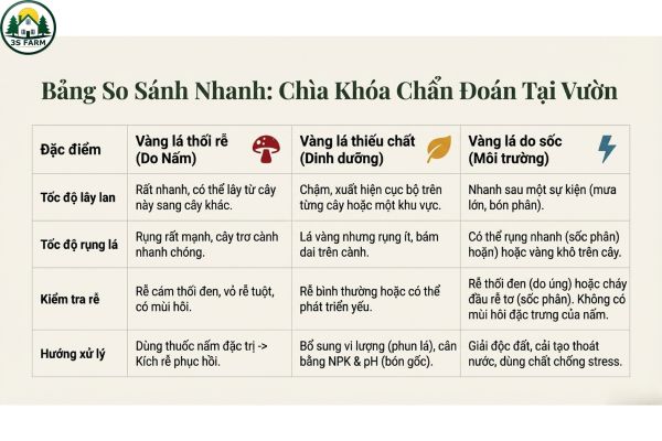 Bảng So Sánh Nhanh Các Thể Vàng Lá