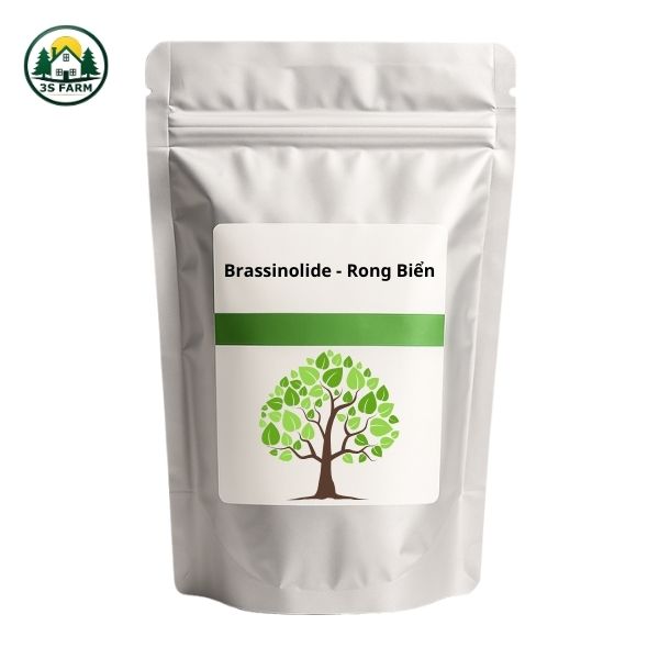Combo Brassinolide Rong Biển – Phục Hồi Cây Nhanh – Bật Đọt Mạnh – Giải Độc Sinh Lý Hiệu Quả