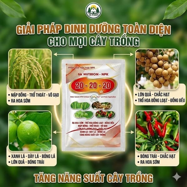 NPK 20-20-20 Hà Lan - Siêu Lớn Trái, Xanh Lá Mạnh, Phát Triển Toàn Diện