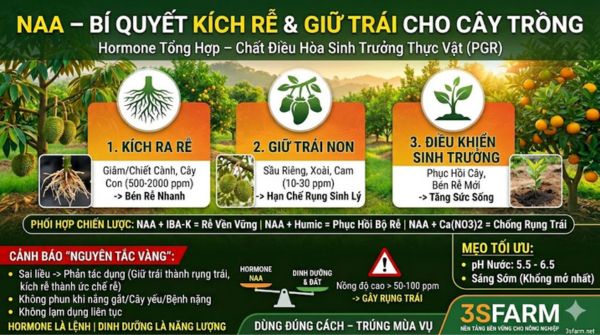 Auxin NAA Là Gì? Công Dụng Kích Rễ, Giữ Trái Và Cách Dùng Hiệu Quả