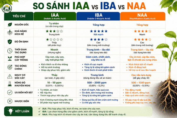 bảng so sánh chi tiết IAA, IBA và NAA