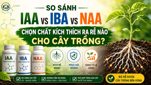 So Sánh Auxin IAA vs IBA vs NAA: Chọn Chất Kích Thích Ra Rễ Nào Cho Cây Trồng?