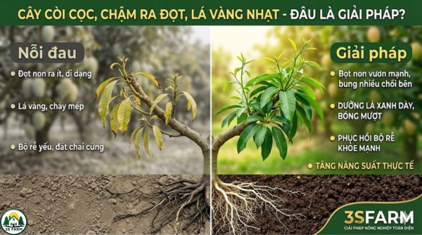 Giải Pháp Bung Đọt Mạnh, Dưỡng Lá Xanh Cho Cây Trồng