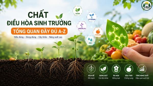 Chất Điều Hòa Sinh Trưởng Là Gì? Tổng Quan A-Z Từ Cơ Chế Đến Ứng Dụng Thực Tế