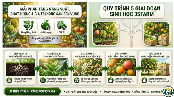 Giải Pháp Tăng Năng Suất Cho Cây Trồng Hiệu Quả