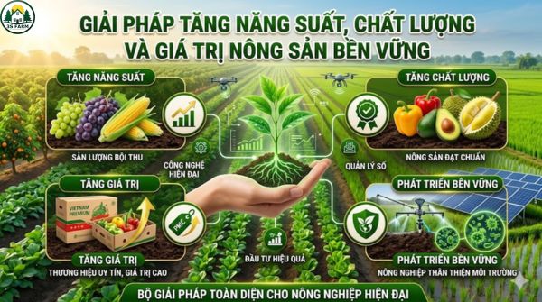 Giải Pháp Tăng Năng Suất, Chất Lượng Và Giá Trị Nông Sản Bền Vững