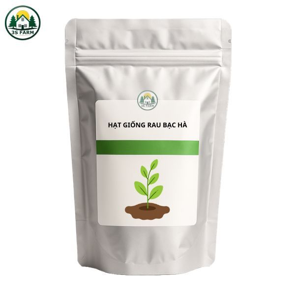 Hạt Giống Rau Bạc Hà – Tỷ Lệ Nảy Mầm Cao, Dễ Trồng Tại Nhà