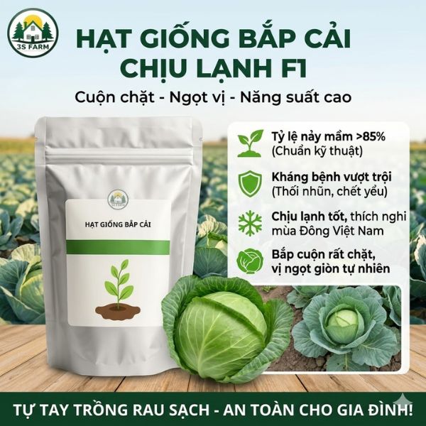 Hạt Giống Bắp Cải