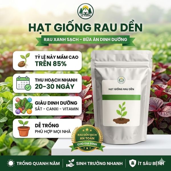 hạt giống rau dền