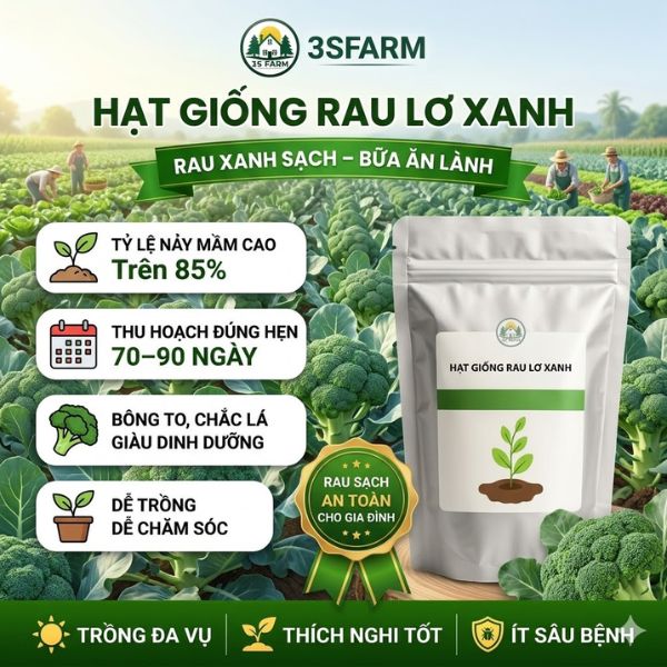 Hạt Giống Bông Cải Xanh