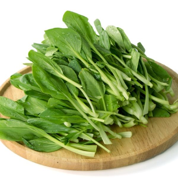 Hạt Giống Cải Ăn Non – Tỷ Lệ Nảy Mầm Cao, Dễ Trồng Tại Nhà