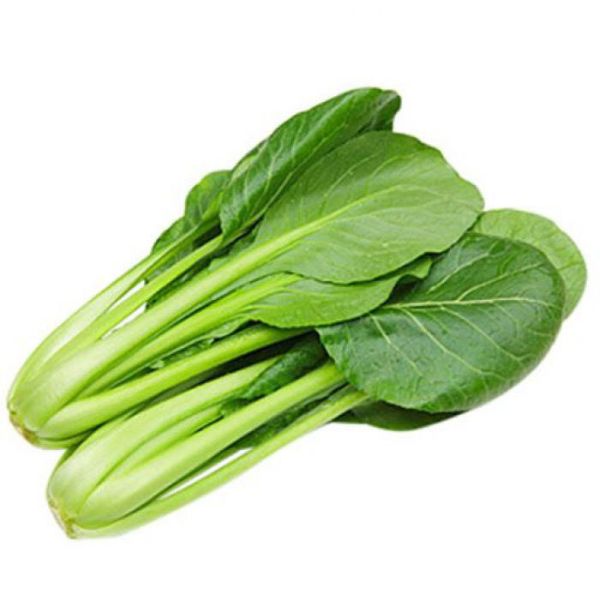 Hạt Giống Rau Cải Ngọt – Tỷ Lệ Nảy Mầm Cao, Thu Hoạch Nhanh