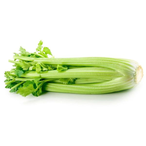 Hạt Giống Rau Cần – Tỷ Lệ Nảy Mầm Cao, Dễ Trồng Tại Nhà