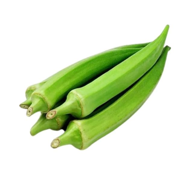 Hạt Giống Đậu Bắp Cao Sản – Trái Non, Năng Suất Cao