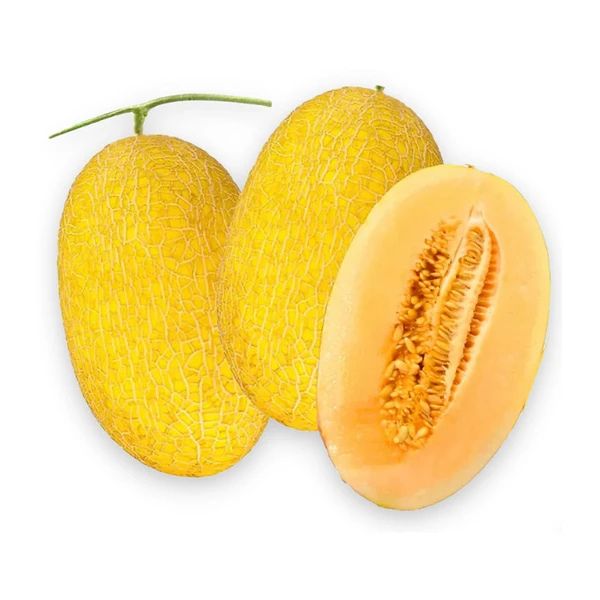 Hạt Giống Dưa Lưới Vàng F1 – Ruột Ngọt Đậm, Dễ Trồng