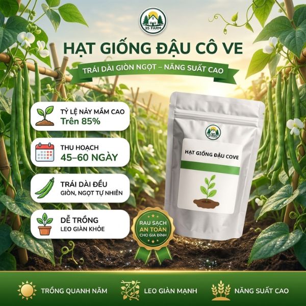 Hạt giống đậu cove