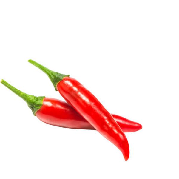 Hạt Giống Ớt – Tỷ Lệ Nảy Mầm Cao, Dễ Trồng, Sai Trái Cay Thơm Năng Suất Cao