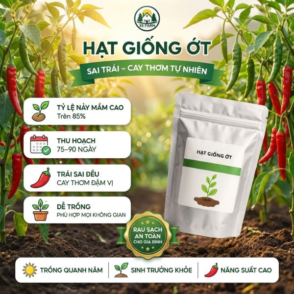 hạt giống ớt