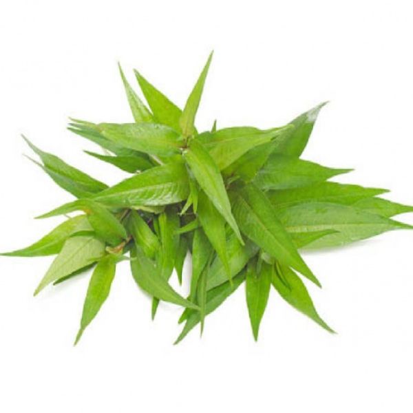 Hạt Giống Rau Răm – Tỷ Lệ Nảy Mầm Cao, Dễ Trồng, Thu Hoạch Nhanh