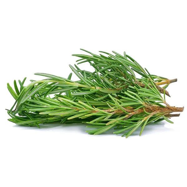 Hạt Giống Hương Thảo – Tỷ Lệ Nảy Mầm Cao, Dễ Trồng Tại Nhà