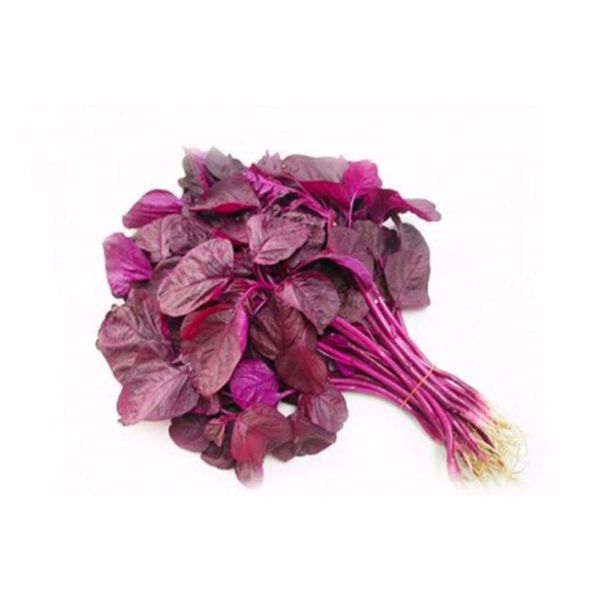 Hạt Giống Rau Dền – Tỷ Lệ Nảy Mầm Cao, Dễ Trồng Tại Nhà