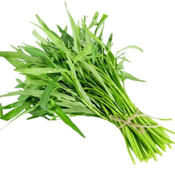 Hạt Giống Rau Muống – Tỷ Lệ Nảy Mầm Cao, Dễ Trồng, Thu Hoạch Nhanh