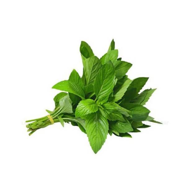 Hạt Giống Rau Quế – Tỷ Lệ Nảy Mầm Cao, Dễ Trồng, Thu Hoạch Nhanh