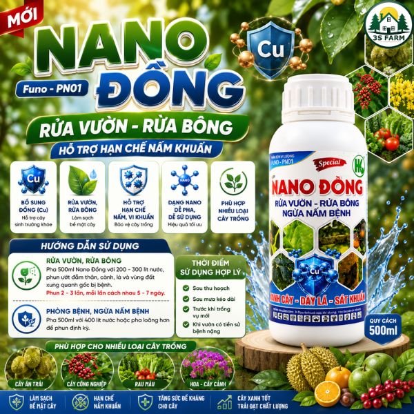 nano đồng