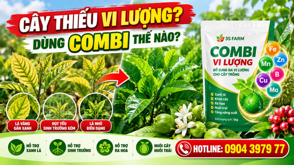 Combi Vi Lượng Là Gì? Công Dụng Và Cách Dùng Hiệu Quả Cho Cây Trồng